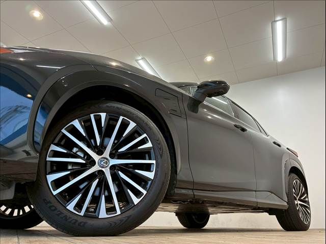 TOYOTA LEXUS RZ450e 2023