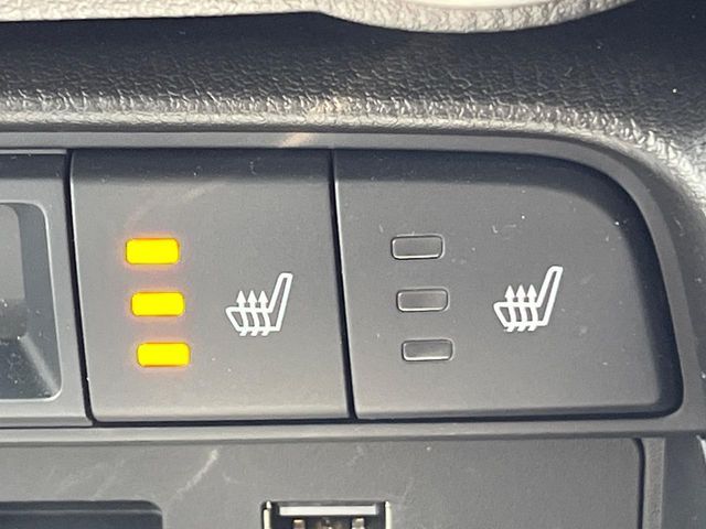 MITSUOKA Rock Star 2020