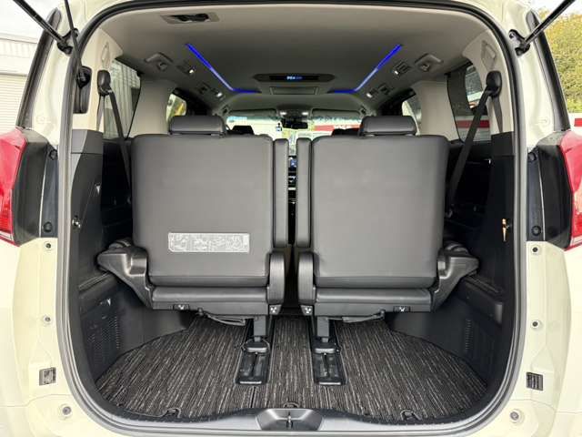 TOYOTA ALPHARD 4WD 2020