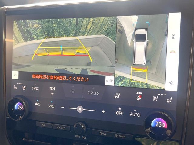 TOYOTA ALPHARD 2024