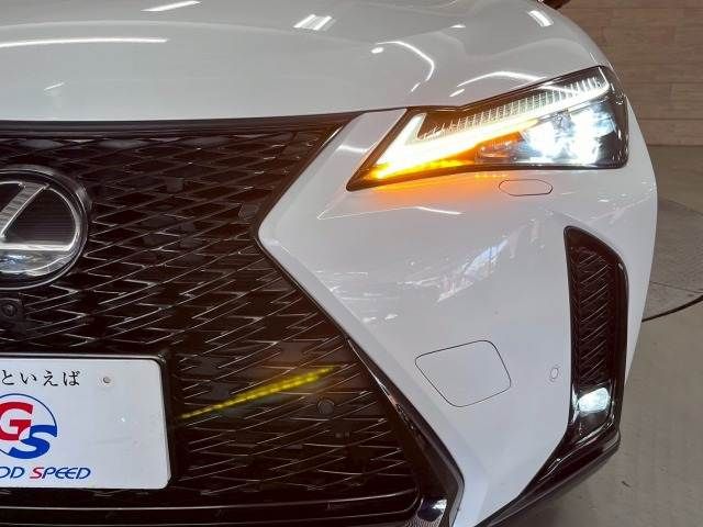 TOYOTA LEXUS UX250h 2023
