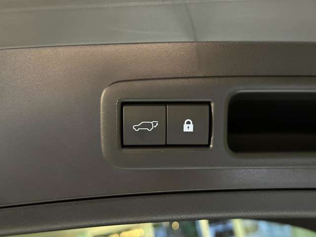 TOYOTA LEXUS UX300e 2021