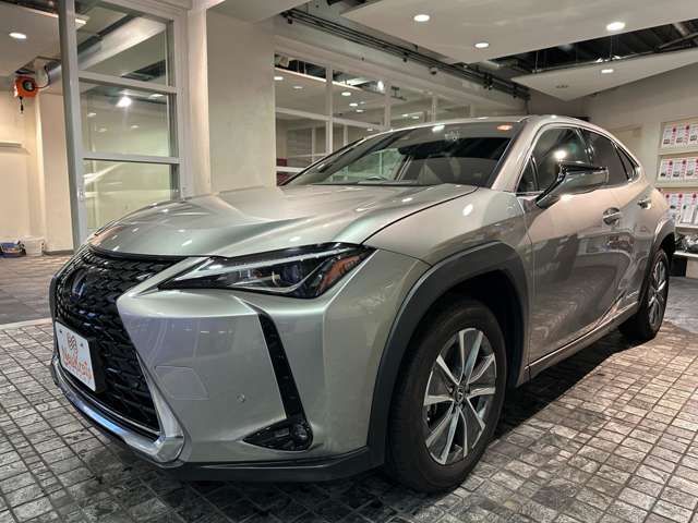 TOYOTA LEXUS UX300e 2021
