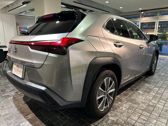 TOYOTA LEXUS UX300e 2021
