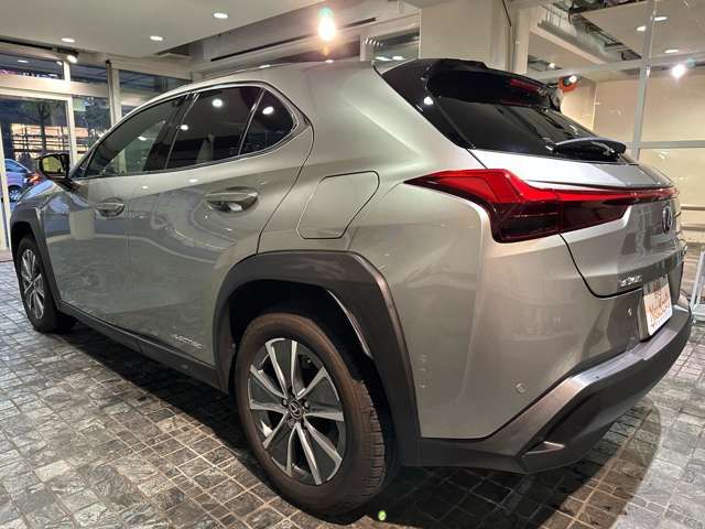TOYOTA LEXUS UX300e 2021