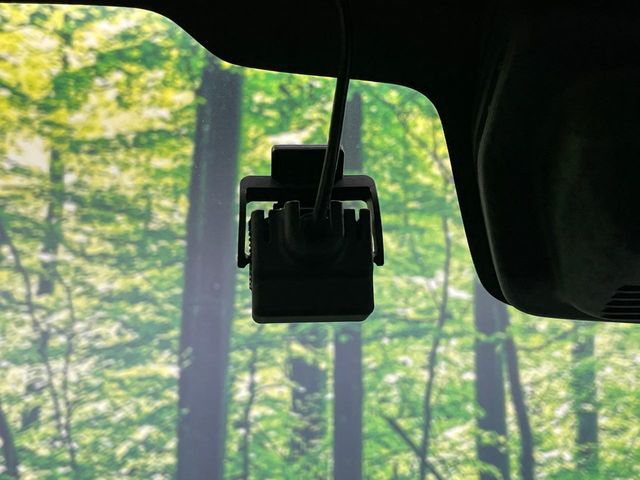 SUZUKI SOLIO BANDIT 2019