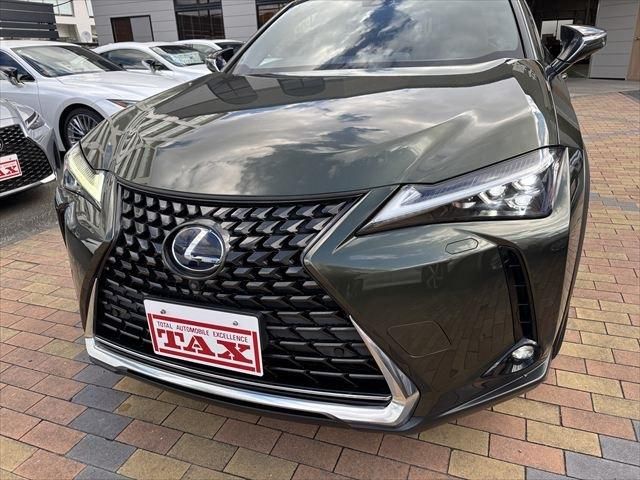 TOYOTA LEXUS UX250h 2020