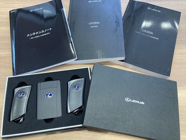 TOYOTA LEXUS UX250h 2020