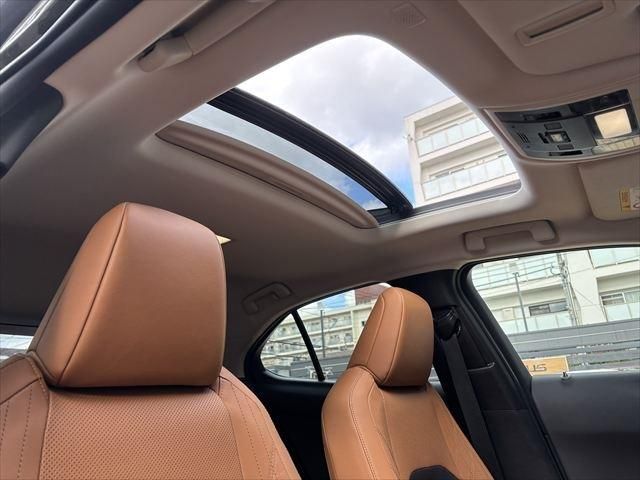 TOYOTA LEXUS UX250h 2020