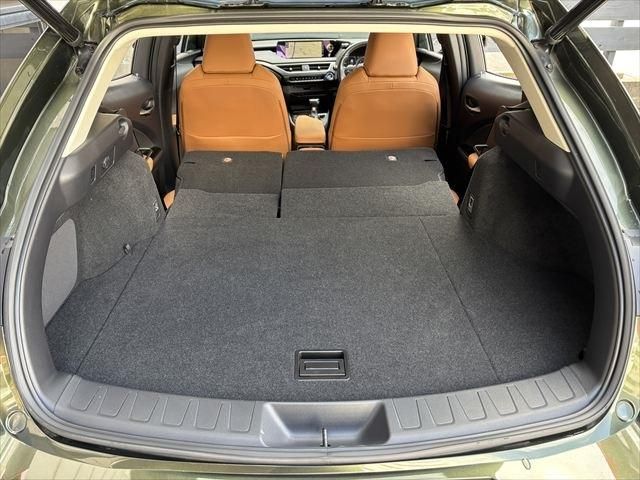 TOYOTA LEXUS UX250h 2020