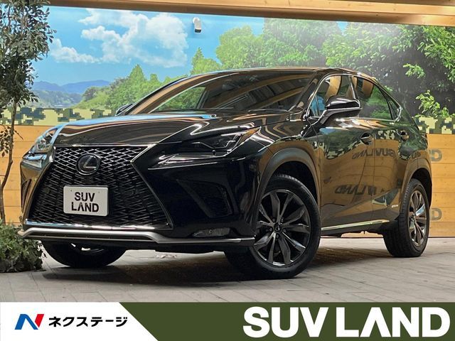 TOYOTA LEXUS NX300h 2019