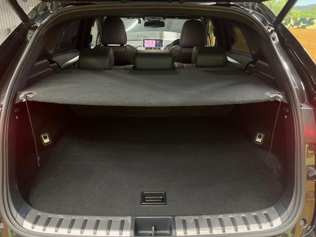 TOYOTA LEXUS NX300h 2019