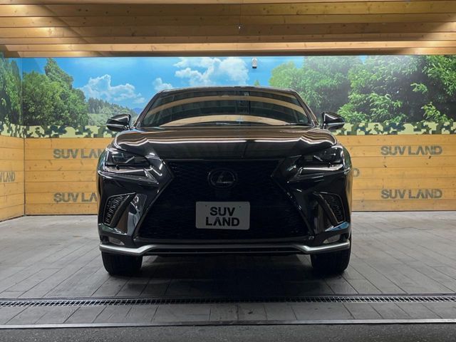 TOYOTA LEXUS NX300h 2019