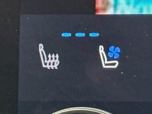 TOYOTA ALPHARD hybrid 2024