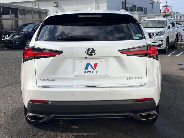 TOYOTA LEXUS NX300 2018