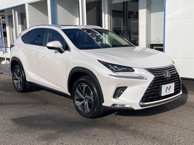 TOYOTA LEXUS NX300 2018