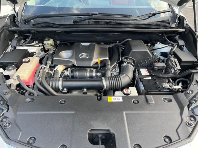 TOYOTA LEXUS NX300 2018