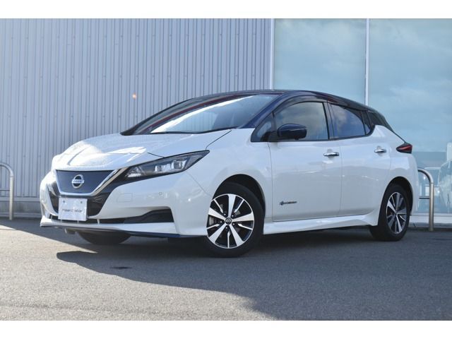 NISSAN LEAF 2020