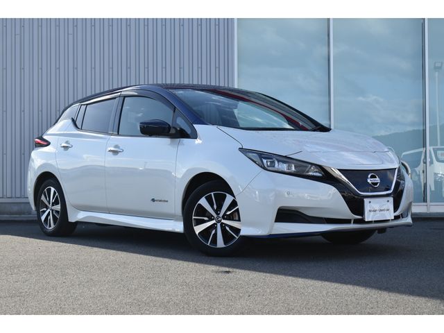 NISSAN LEAF 2020
