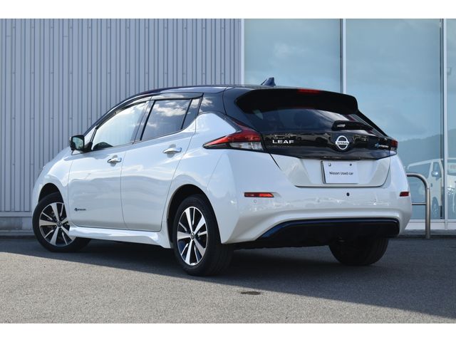 NISSAN LEAF 2020