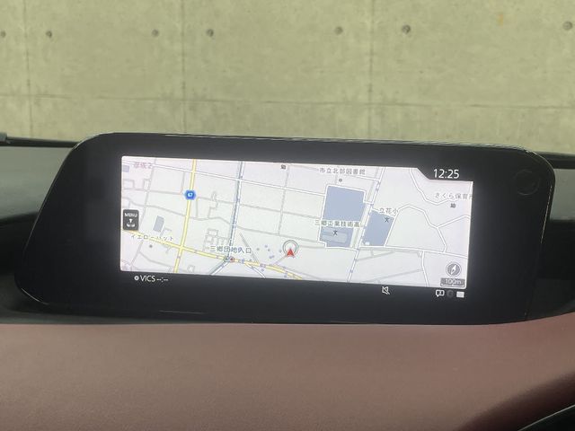 MAZDA MAZDA3 FASTBACK 2019