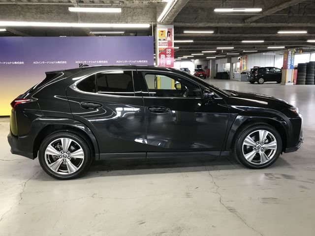 TOYOTA LEXUS UX250h 2023