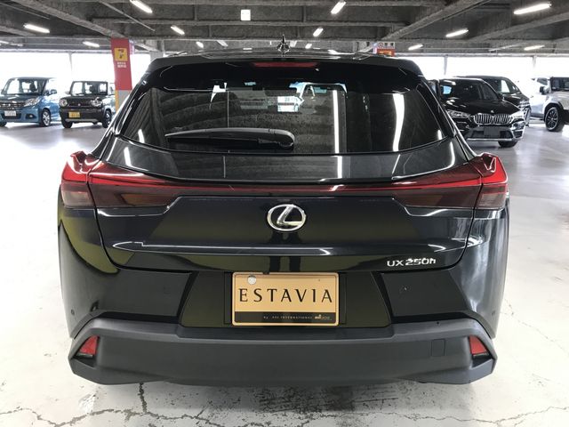TOYOTA LEXUS UX250h 2023