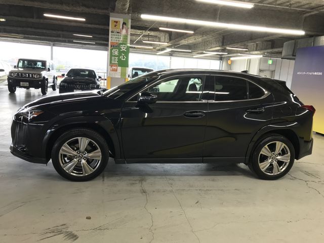 TOYOTA LEXUS UX250h 2023