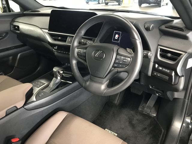 TOYOTA LEXUS UX250h 2023