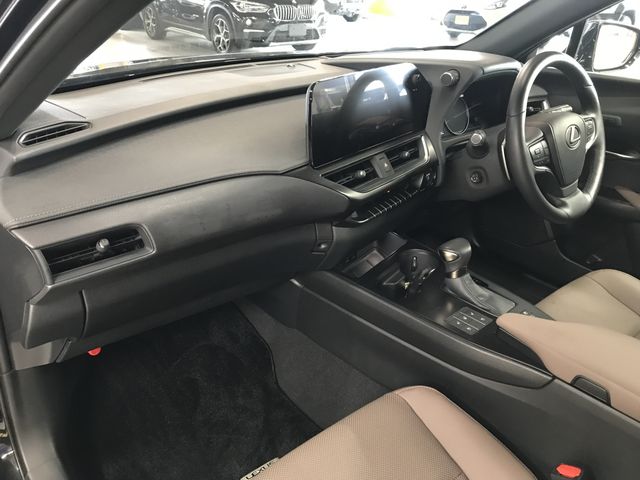 TOYOTA LEXUS UX250h 2023