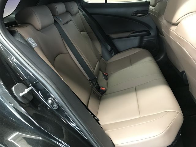 TOYOTA LEXUS UX250h 2023