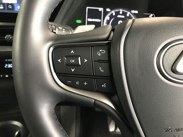 TOYOTA LEXUS UX250h 2023