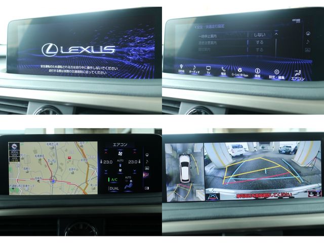 TOYOTA LEXUS RX300 2020