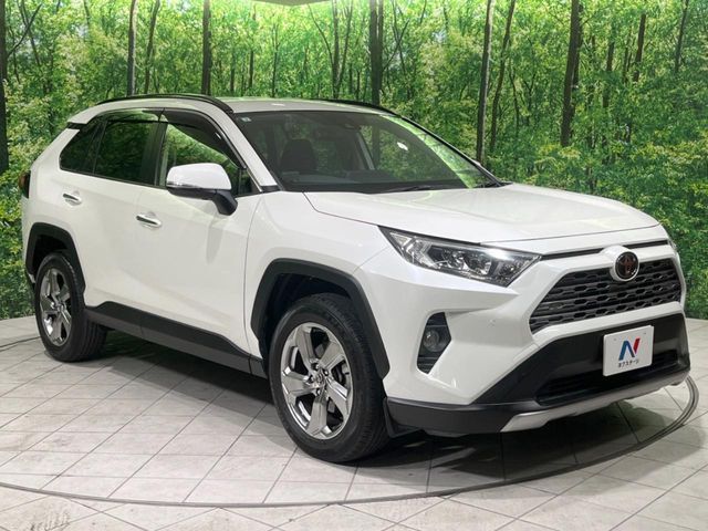 TOYOTA RAV4 4WD 2019