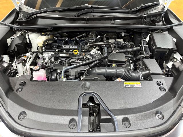 TOYOTA LEXUS LBX 2024