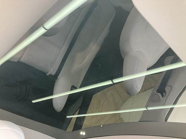 TESLA TESLA MODEL Y 2022