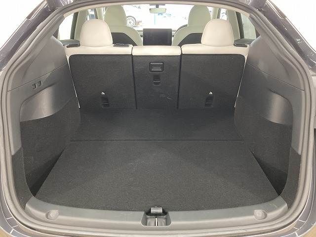 TESLA TESLA MODEL Y 2022