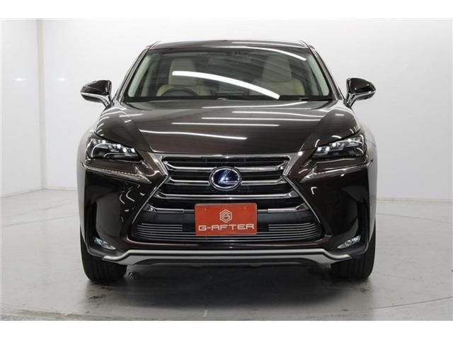 TOYOTA LEXUS NX300h 2014