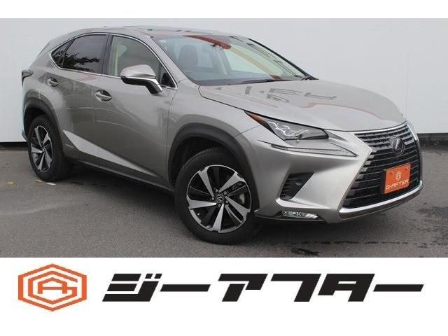 TOYOTA LEXUS NX300h 2019