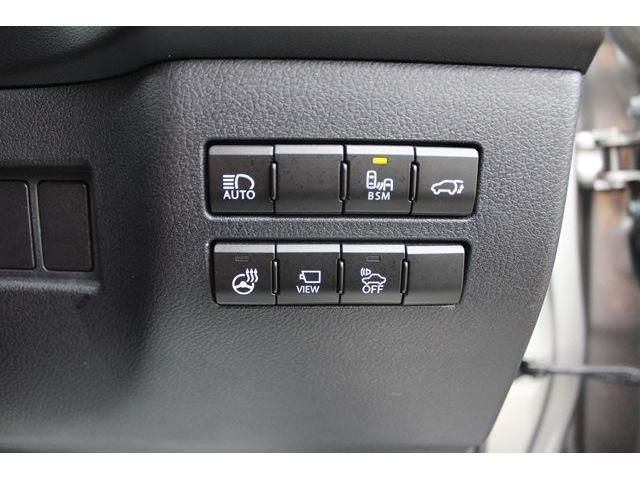 TOYOTA LEXUS NX300h 2019