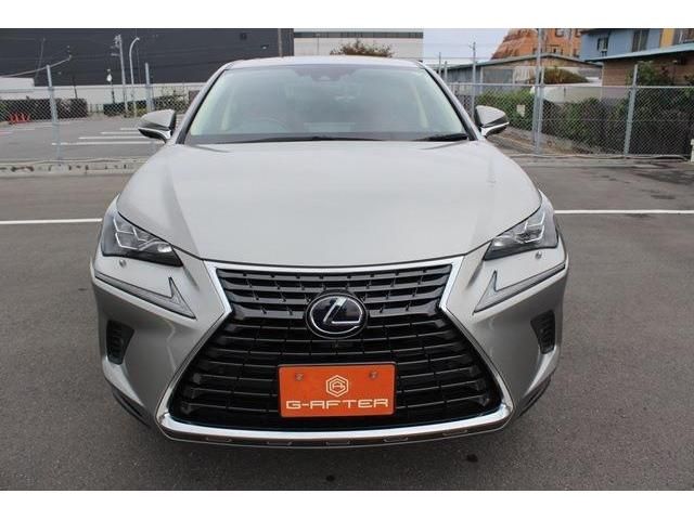 TOYOTA LEXUS NX300h 2019