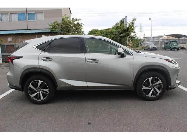 TOYOTA LEXUS NX300h 2019