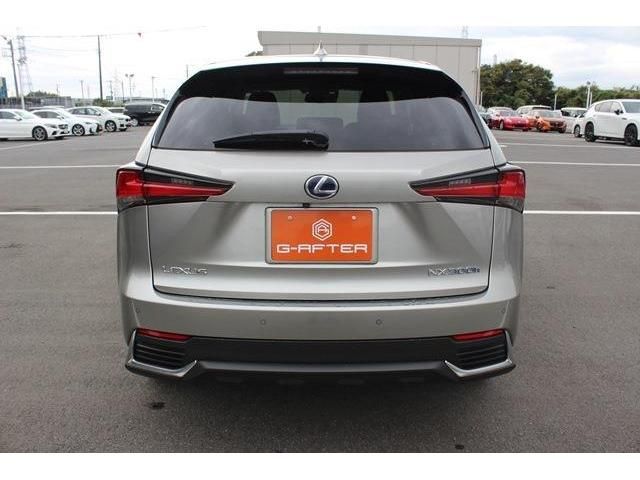 TOYOTA LEXUS NX300h 2019