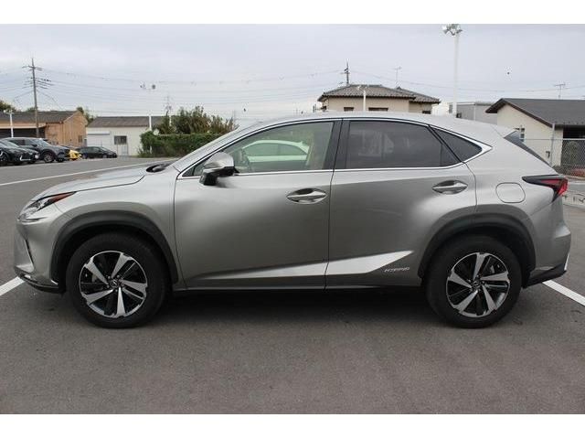 TOYOTA LEXUS NX300h 2019