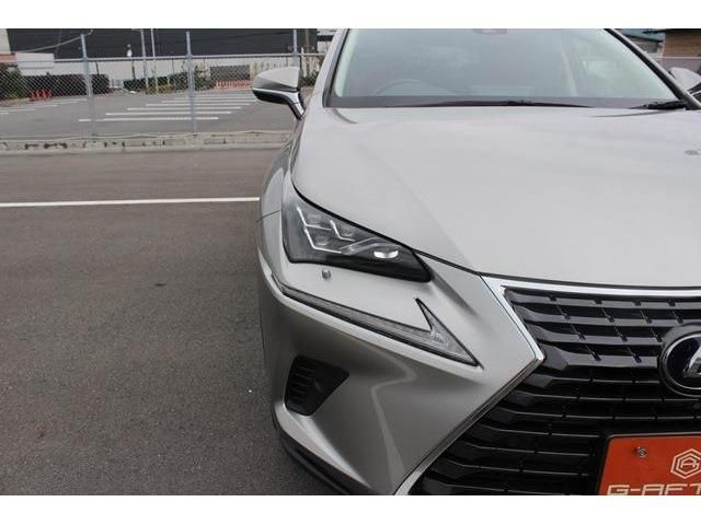 TOYOTA LEXUS NX300h 2019