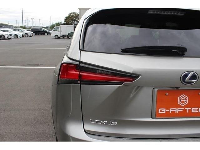 TOYOTA LEXUS NX300h 2019