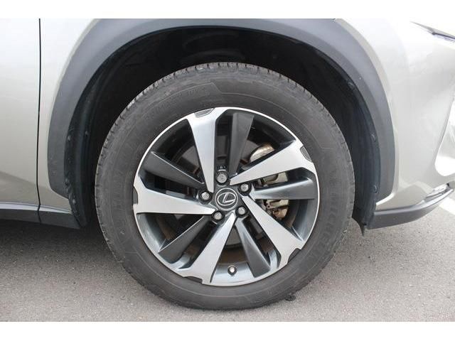 TOYOTA LEXUS NX300h 2019