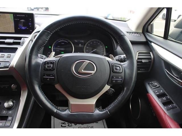 TOYOTA LEXUS NX300h 2019