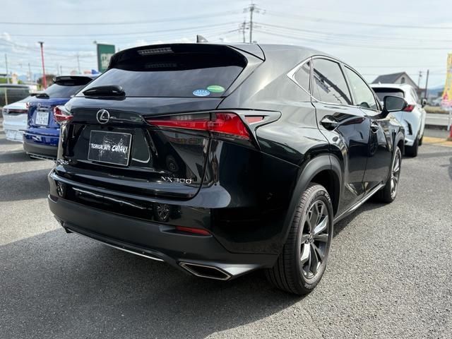 TOYOTA LEXUS NX300 2018