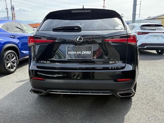 TOYOTA LEXUS NX300 2018